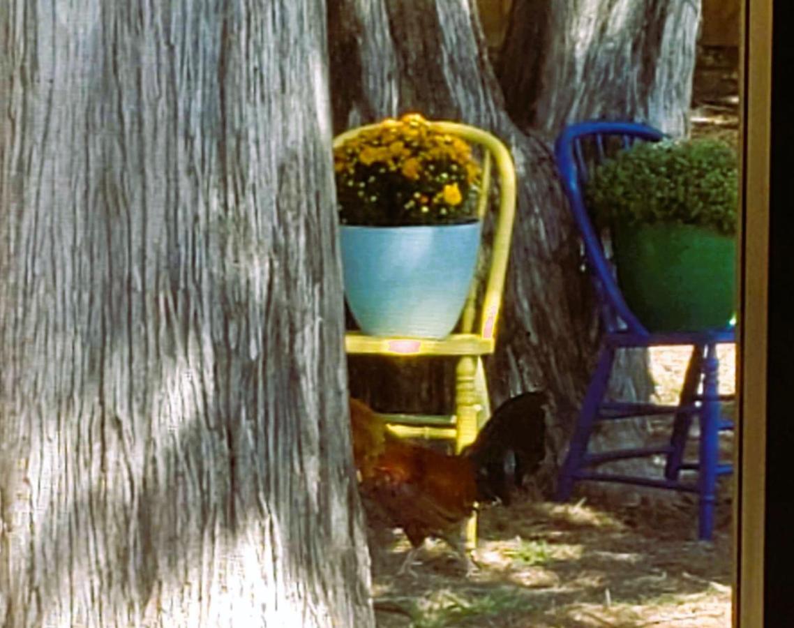 Midtown Southern Charm Tyler Bagian luar foto
